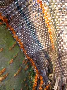 fabric_on_wood